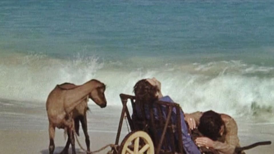 Bild på filmaffisch för Jag ska löpa som en galen häst